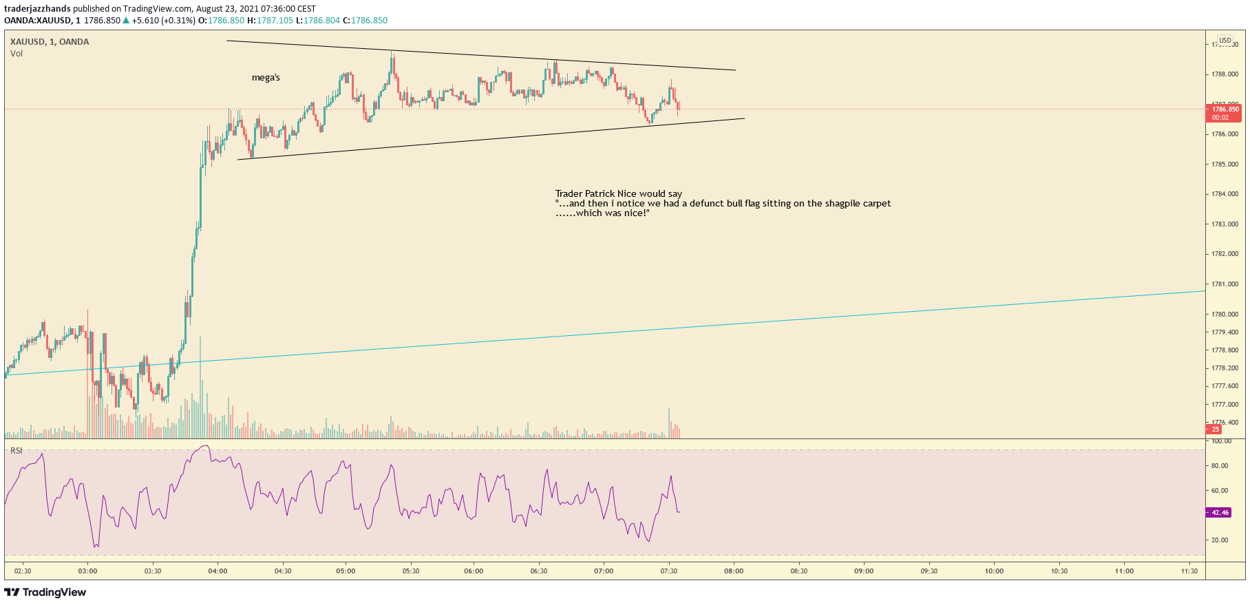 www.tradingview.com