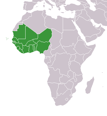 en.wikipedia.org